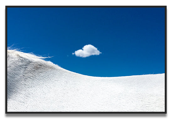 Foggy Cloud Cerrillos, NM 2016 - C U M U L U S GALLERY