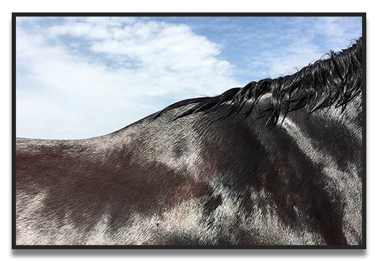 Shiny Black  Santa Fe, NM 2018 - C U M U L U S GALLERY