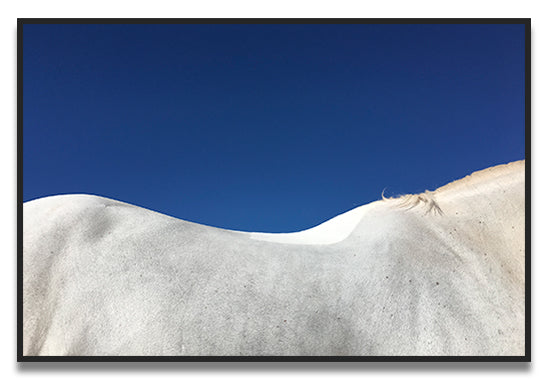 Foggy Summer Santa Fe, NM 2017 - C U M U L U S GALLERY